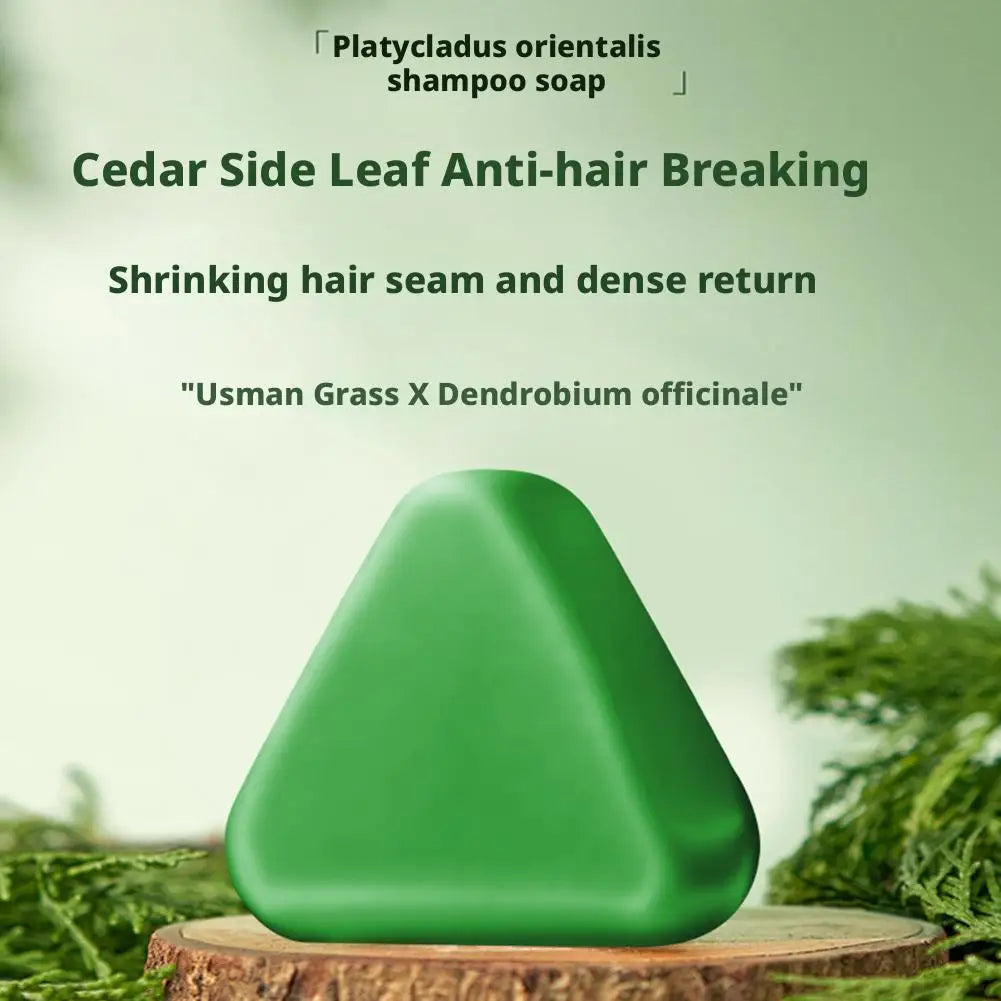 Platycladus Orientalis Shampoo Bar Natural Herbal Soap For Hair Loss Controls Oil Strengthens Root Shampoo Soap Hair Accessories