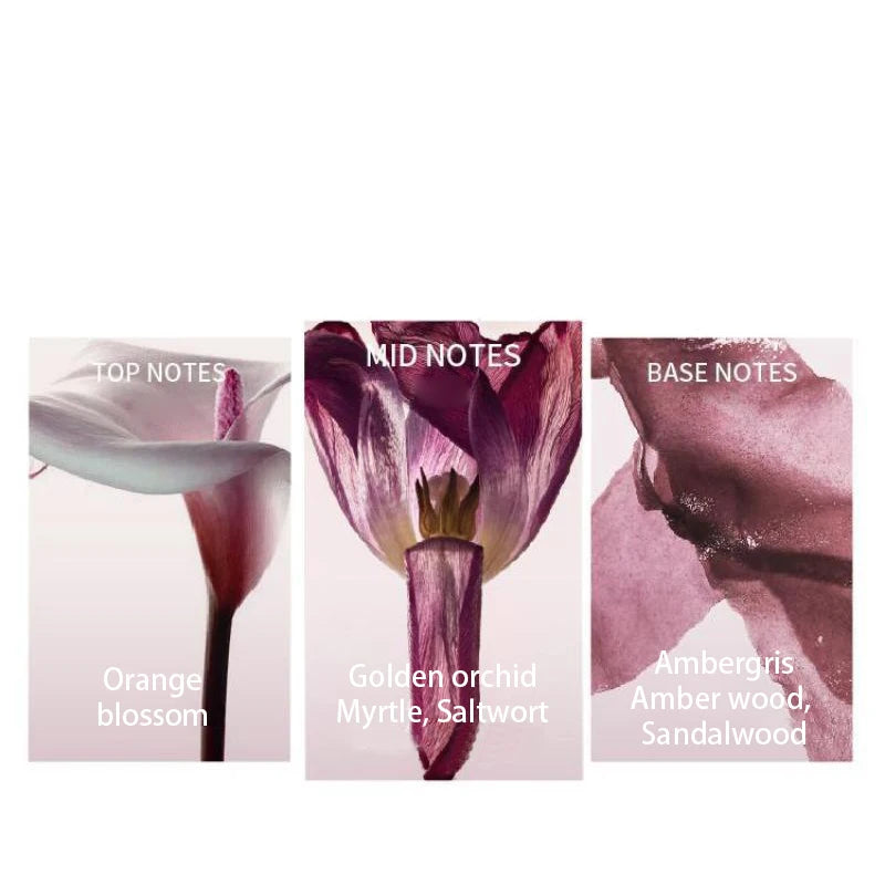 High-end Floral Fruity Perfume Grapefruit Orange Scent Natural Long-lasting Fresh French Romantic Elegant Women Eau De Toilette
