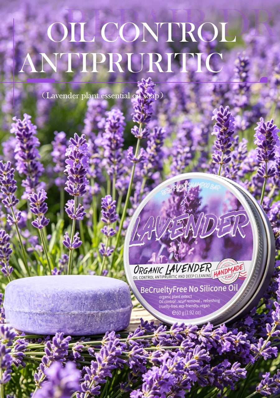 Lavender shampoo is refreshing, oil controlling, and smooth for hair, solving the problem of oily scalp without silicone oil res