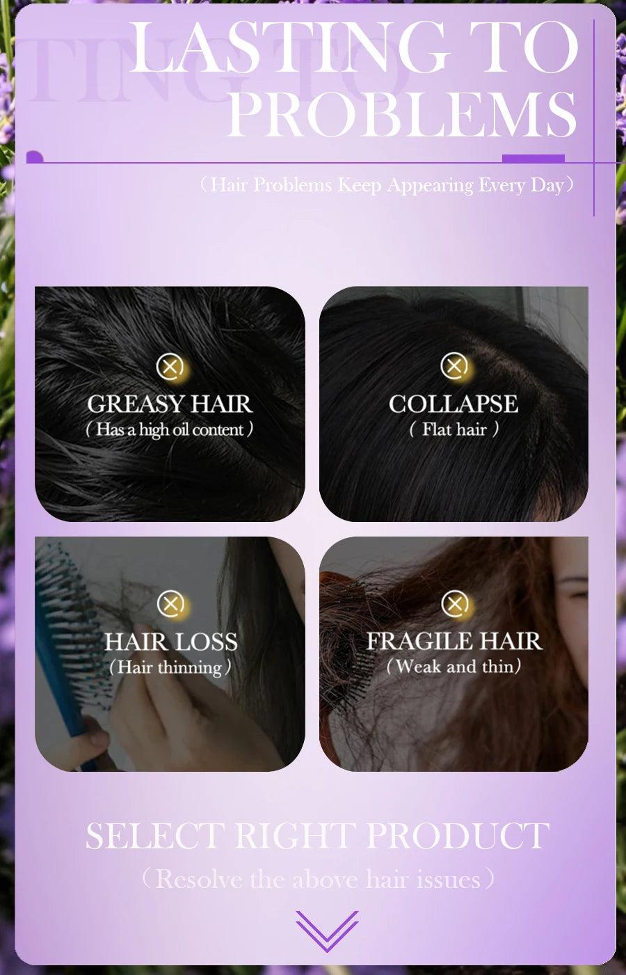 Lavender shampoo is refreshing, oil controlling, and smooth for hair, solving the problem of oily scalp without silicone oil res