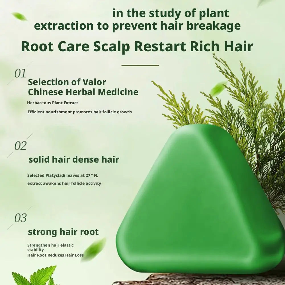 Platycladus Orientalis Shampoo Bar Natural Herbal Soap For Hair Loss Controls Oil Strengthens Root Shampoo Soap Hair Accessories