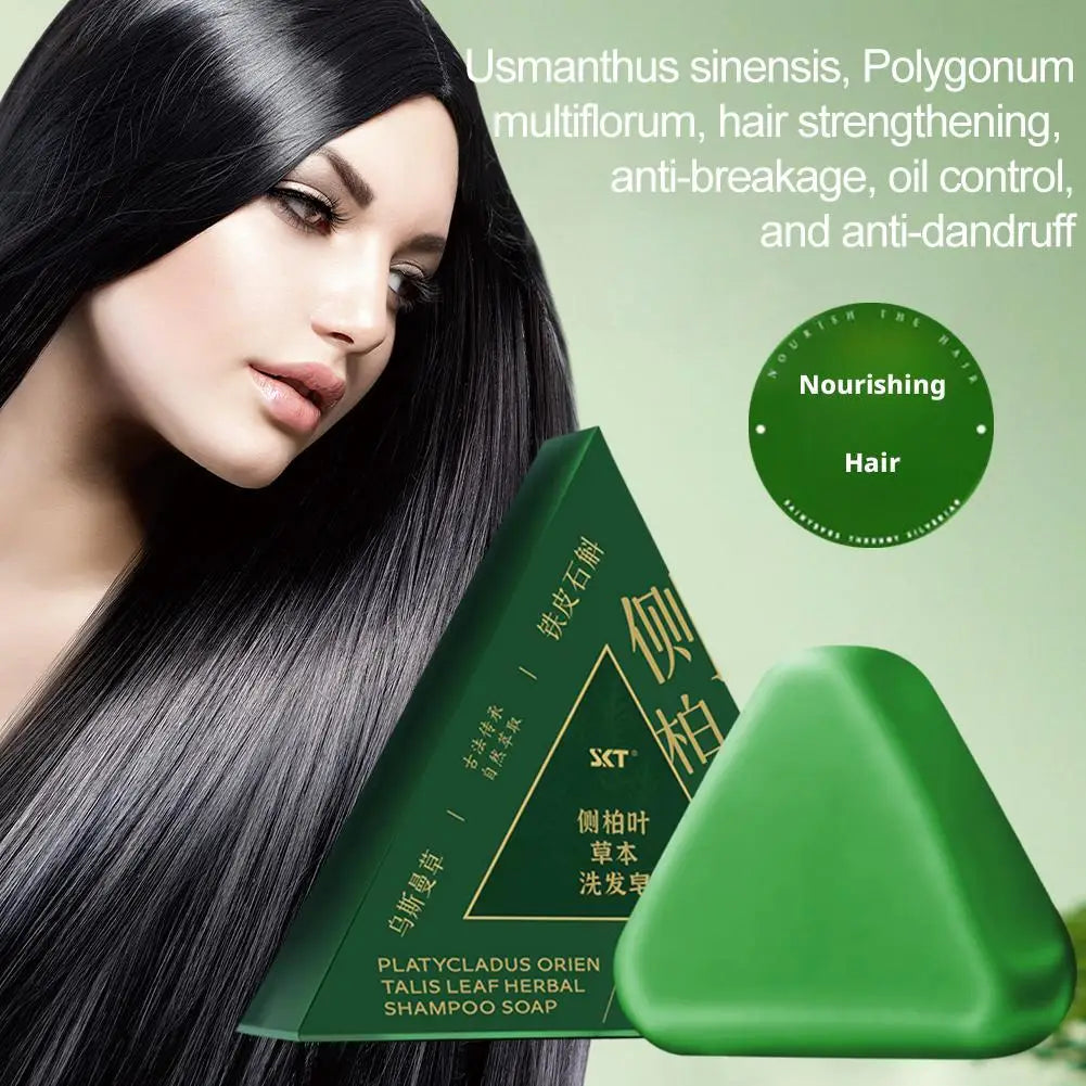 Platycladus Orientalis Shampoo Bar Natural Herbal Soap For Hair Loss Controls Oil Strengthens Root Shampoo Soap Hair Accessories