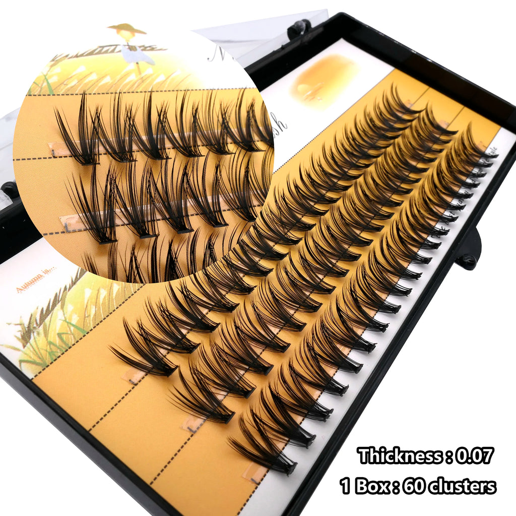 1 box 60 clusters 20/30D extension eyelashes, individual eyelashes, Natural Thick False Eyelashes, , Individual Eyelash Bunche