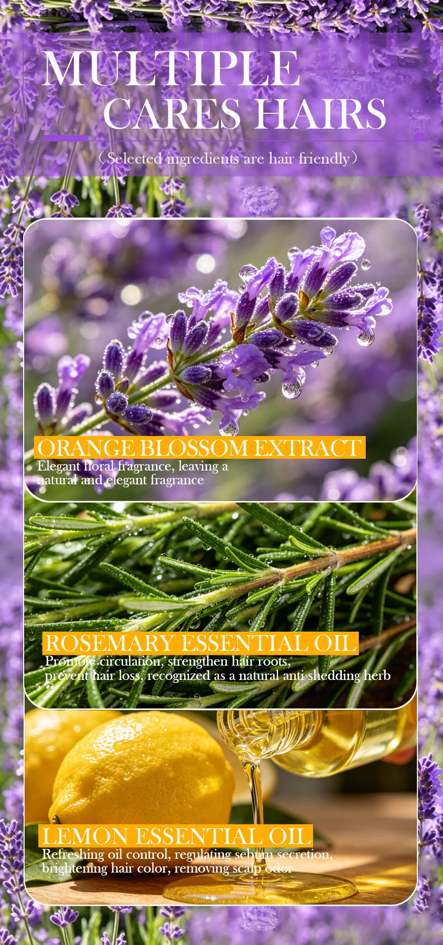 Lavender shampoo is refreshing, oil controlling, and smooth for hair, solving the problem of oily scalp without silicone oil res
