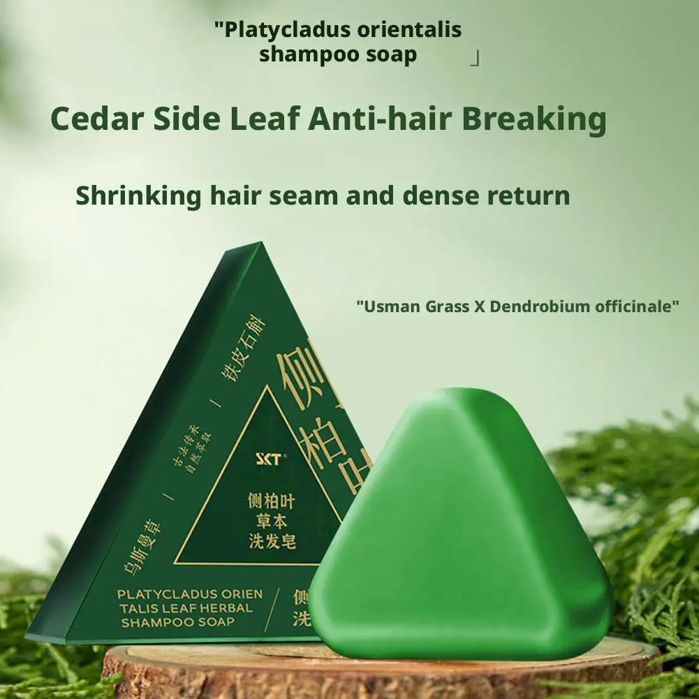 Platycladus Orientalis Shampoo Bar Natural Herbal Soap For Hair Loss Controls Oil Strengthens Root Shampoo Soap Hair Accessories