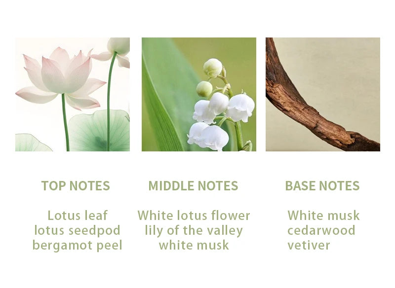 Fresh Lotus Perfume, long-lasting floral and woody fragrance, Oriental beauty, blended with lotus and jasmine,