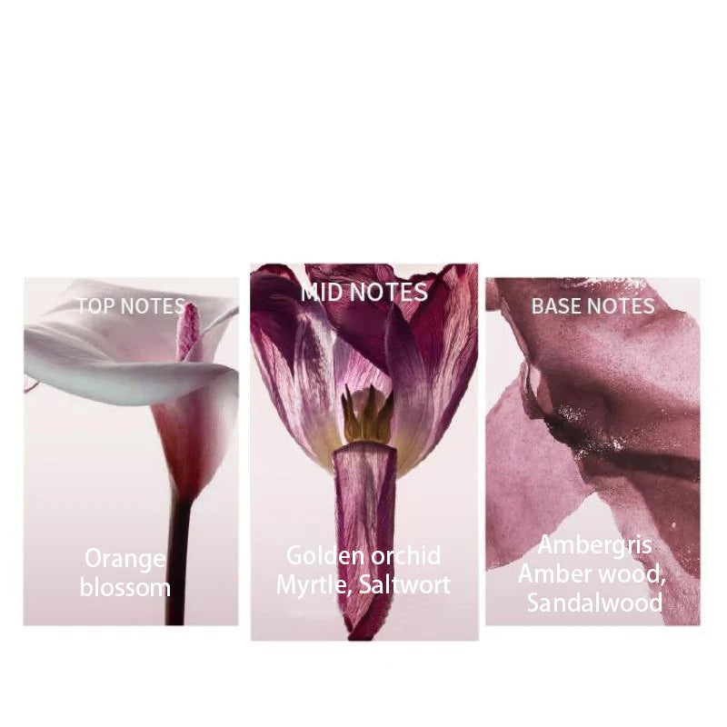 High-end Floral Fruity Perfume Grapefruit Orange Scent Natural Long-lasting Fresh French Romantic Elegant Women Eau De Toilette